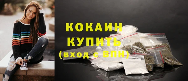 дмт Кинешма
