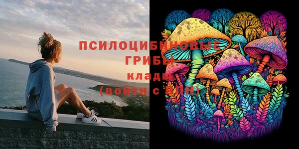 дмт Кинешма