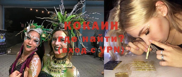 дмт Кинешма