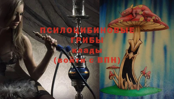 spice Козловка