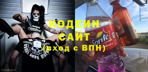 молекула духа Киренск