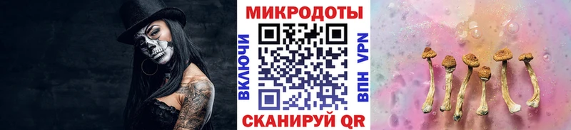 Купить где Калининград Галлюциногенные грибы прущие грибы